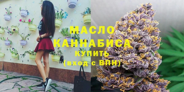 индика Покачи