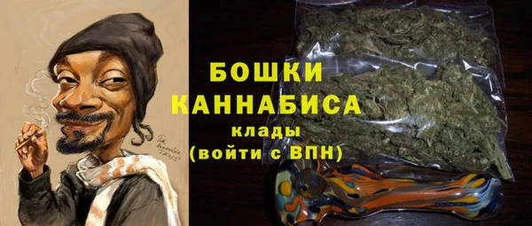 индика Покачи