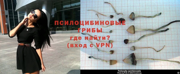 эйфоретик Переславль-Залесский