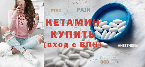 гашик Пересвет