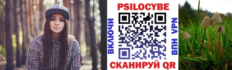 Купить закладки  Камбарка  Галлюциногенные грибы Magic Shrooms 